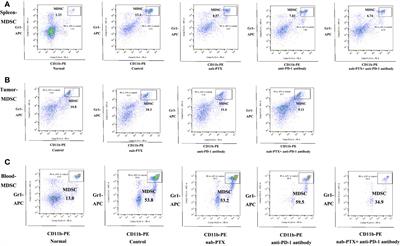 Corrigendum: Synergistic effects of nab-PTX and anti-PD-1 antibody combination against lung cancer by regulating Pi3K/AKT pathway through the Serpinc1 gene